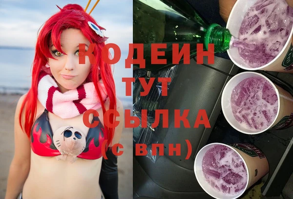 шишки Пестово