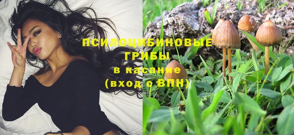 стаф Абдулино