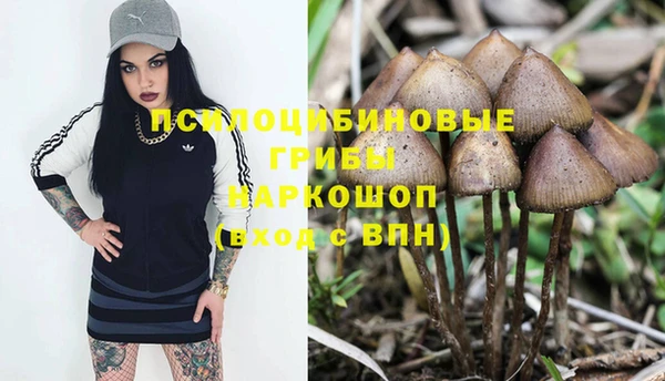 шишки Пестово