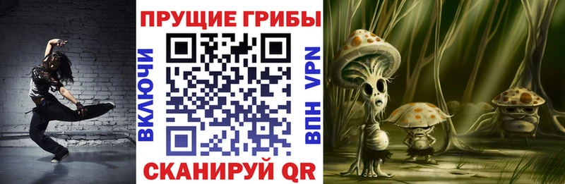 магазин    Хабаровск  Псилоцибиновые грибы Psilocybine cubensis 