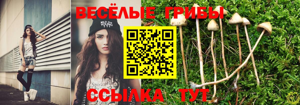 Хабаровск  Галлюциногенные грибы Magic Shrooms  Вход с VPN 