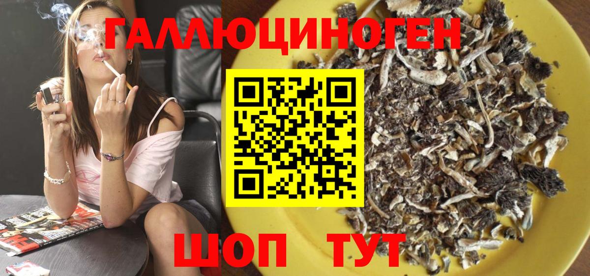 Псилоцибиновые грибы Psilocybine cubensis Хабаровск